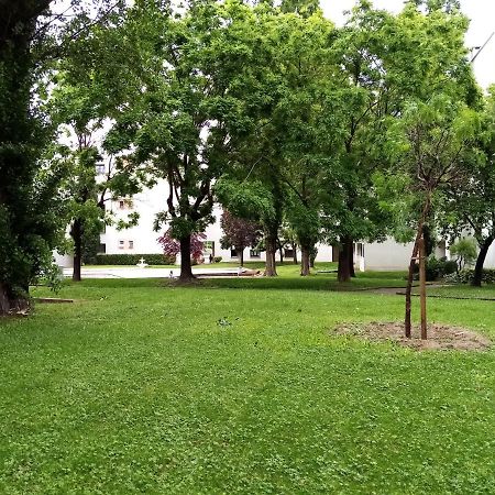 Chambre Double Rosalie En Colocation Montpellier Eksteriør billede